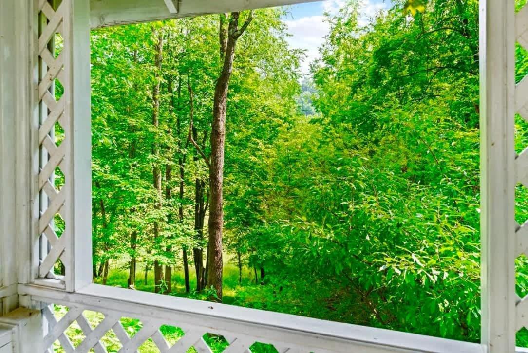 Gated Mansion - Basketball Court Movie Theater Views Villa Big Stone Gap Luaran gambar